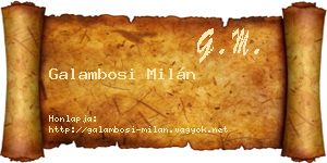Galambosi Milán névjegykártya